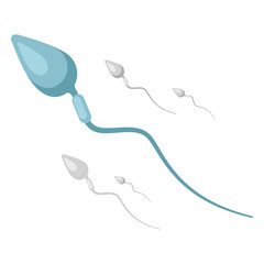 Obraz premium Spermatozoon illustration