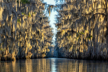 Caddo Lake Government Ditch Sunrise