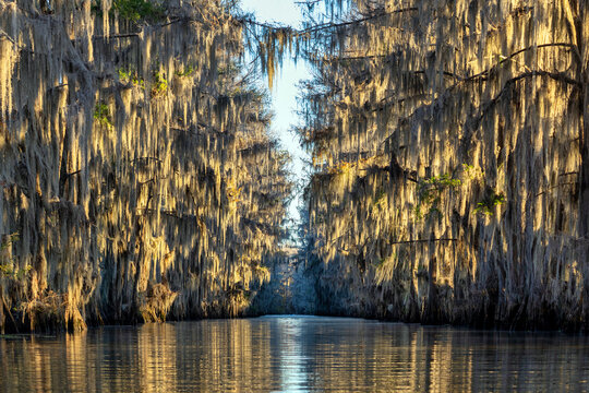Caddo Lake Government Ditch Sunrise