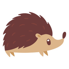 Hedgehog animal cartoon