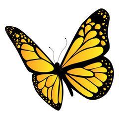 Yellow butterfly design © Vexels