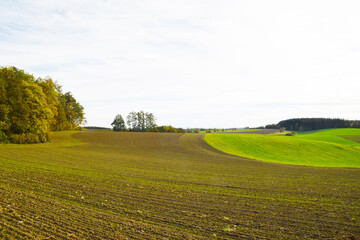 Feldlandschaft, Herbst