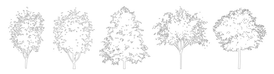 Obraz premium Minimal CAD tree outline drawings, side view trees for architectural and landscape projects