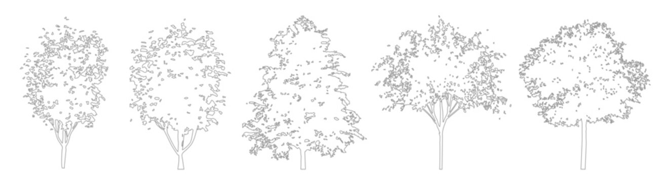 Minimal CAD tree outline drawings, side view trees for architectural and landscape projects
