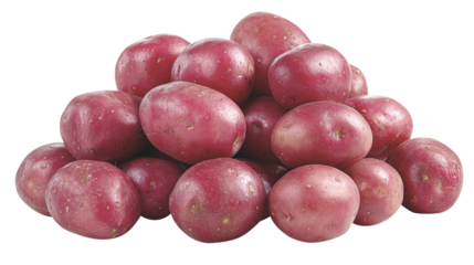 Pile of Red Potatoes on White Background root vegetable