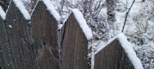 Snow-covered wooden fence alongside winter plants in a tranquil garden setting