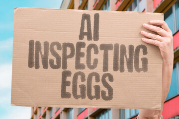 "AI Inspecting Eggs" Systems examine shells detecting cracks and defects before packaging. INSPECT. EGG. SHELL. CRACK. DEFECT.