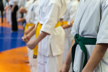 A line of children in white karate uniforms and yellow or green belts