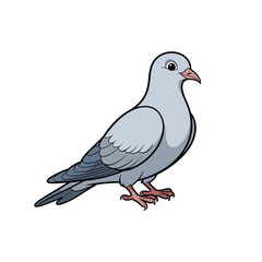 A gray pigeon stands calmly. It is isolated on a white backdrop, and has a simple design.