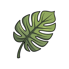 A digitally illustrated split-leaf philodendron isolated on a white background. Exotic, tropical.