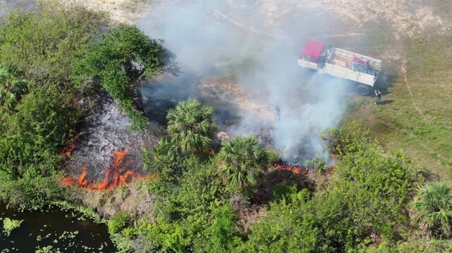 Uncontrolled vegetation fire tears through Florida forest in dry weather, with glowing embers and smoke billowing into the sky as firefighters begin suppression efforts.