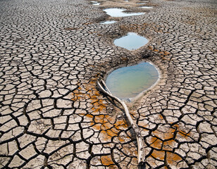Cracked earth and dwindling pools evoke scarcity, resilience, and the effects of climate change. Evokes concern  highlights environmental issues.