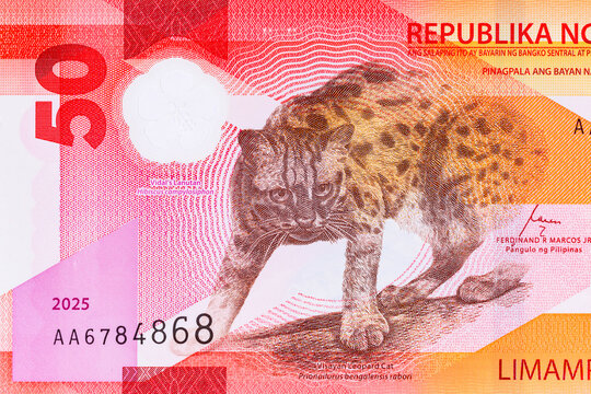 50 Piso Philippines, New Polymer Note 2025 with Visayan Leopard. Philippine Money