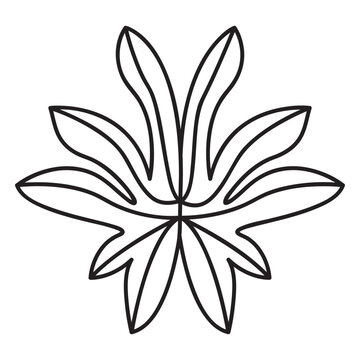 Leaf geometric fig stroke