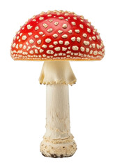 Obraz premium Vibrant red toadstool mushroom forest floor nature isolated on transparent background