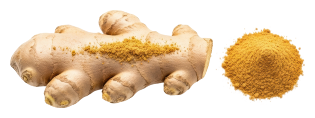 Ginger root harvesting techniques farm educational guide outdoors isolated on transparent background