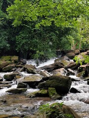 waterfall in the forest