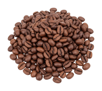 Coffee bean harvesting process farm natural isolated on transparent background