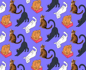 Funny cute cats illustration pattern with violet background