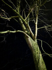 Edinburgh, Scotland, United Kingdom