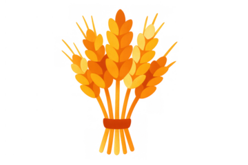 Golden wheat ears tied into a bundle, representing harvest, agriculture, and abundance on a transparent background
