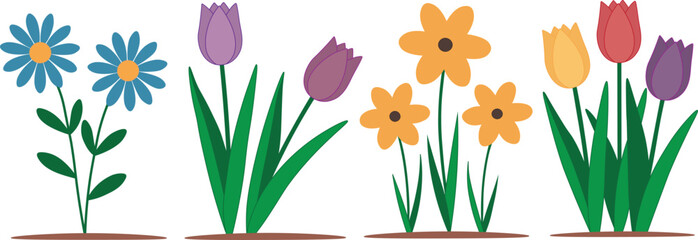 Collection of spring flower varieties arranged into four separate categories. vector illustration