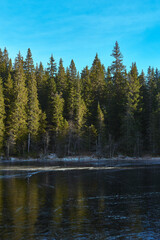By the Br&oslash;nntjernet Lake of the Toten&aring;sen Hills, Norway, in November 2025.