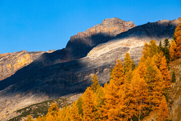 Obraz premium Scenic landscape of the Ortler Alps near Stelvio Pass on a sunny autumn day, South Tyrol, Italy, Europe 