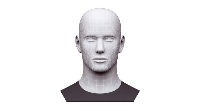 3D head model wireframe human face digital art neutral expression white transparency background realistic male bust technology computer graphics anatomy sculpture isolated modern design study