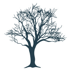 Obraz premium Tree trunk branch silhouette