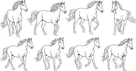 Vector Line Art Set of Galloping and Trotting Horses, Black and White Outlines of Dynamic Equine Figures for Animation or Graphic Design