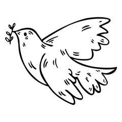 Dove with olive branch hand drawn