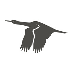 Cormorant silhouette