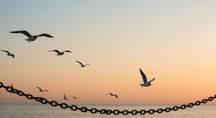 Fototapeta premium Tranquil scene of seagulls in flight during a warm sunset near water