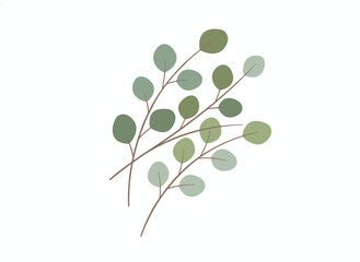 A set of realistic vector illustrations featuring Eucalyptus gunnii branches, isolated gum tree twigs on a white background, a collection of forest foliage design elements, evergreen tree leaves, and