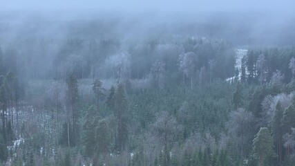 Cold fog over the forest on a winter's day - Powered by Adobe