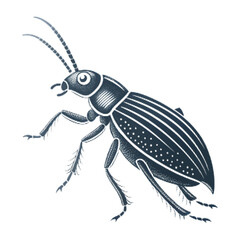 Vector halftone illustration of a detailed beetle insect with textured shading, stylized entomology drawing showcasing naturalistic anatomy, vintage engraving aesthetic and biological precision