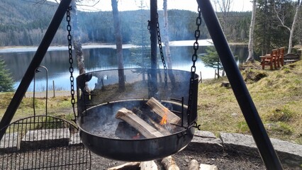 Cozy fire pit by the lake surrounded by trees with mountains in the distance on a sunny day
