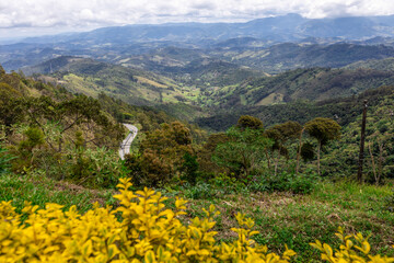 Close up of lilac flower with small insect