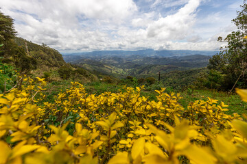 Close up of lilac flower with small insect
