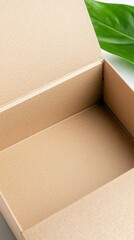 An open cardboard box with a green leaf in the background, isolated on a white surface. Studio shot, close-up.
