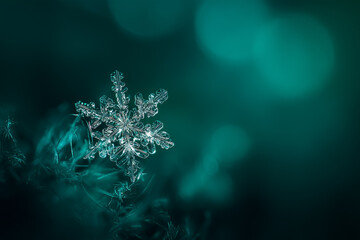 Bright icy snowflake macro on deep turquoise bokeh background showing winter calm mood for concept of christmas decor winter beauty seasonal design