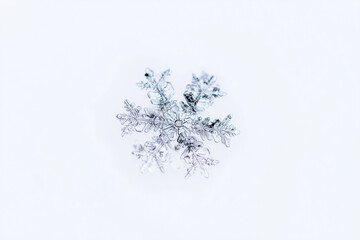 Detailed icy snowflake macro isolated on clean white background showing winter purity for concept of christmas decor winter beauty seasonal design