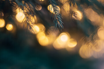 Soft golden bokeh on pine needles Christmas background