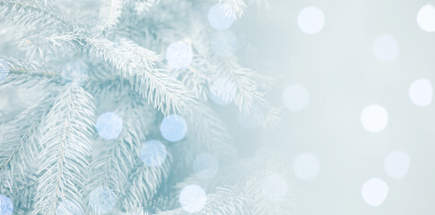 Christmas greeting card with fir tree branches and bokeh lights. Banner design