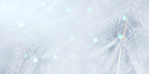 Christmas greeting card with fir tree branches and bokeh lights. Banner design
