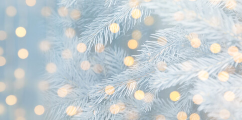 Christmas greeting card with fir tree branches and bokeh lights. Banner design