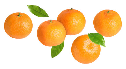 Fresh tangerines and green leaves falling on white background. Citrus fruit