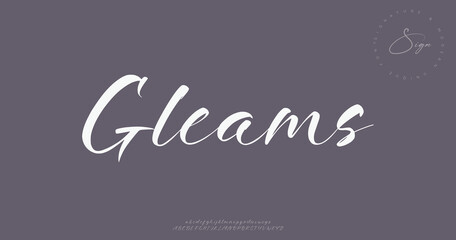 Elegant alphabet letters font and number. Classic Modern Serif Lettering Minimal Fashion. Typography decoration fonts for branding, wedding, invitations, logo.