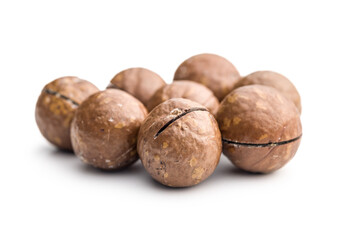 Tasty macadamia nuts isolated on white background.